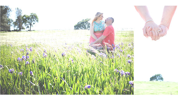 Portfolio | West Coast Pictures
