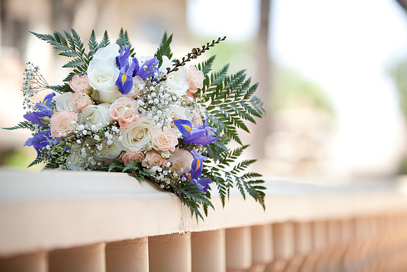 Brittany & Filip | West Coast Pictures