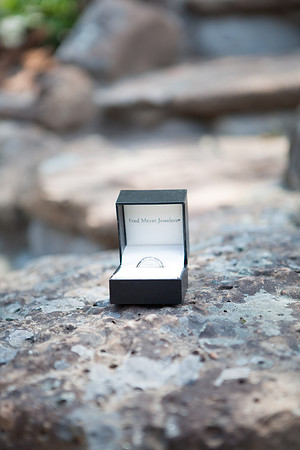 Sacramento Wedding Photography