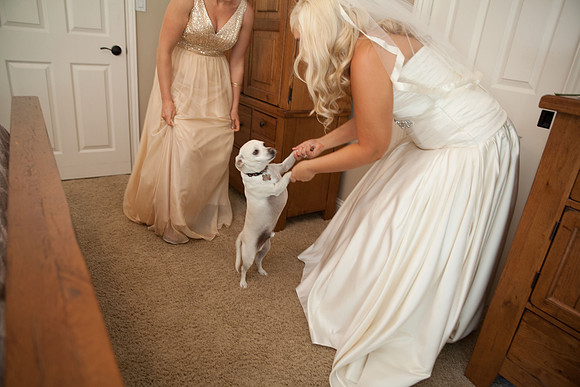 Sacramento Wedding Photography