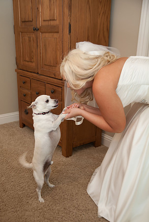 Sacramento Wedding Photography