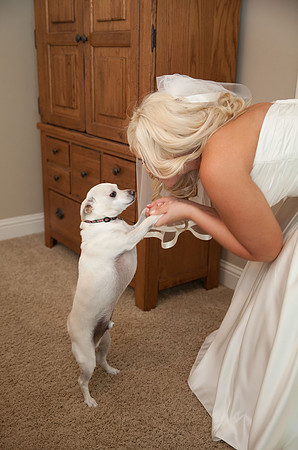 Sacramento Wedding Photography