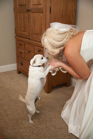Sacramento Wedding Photography