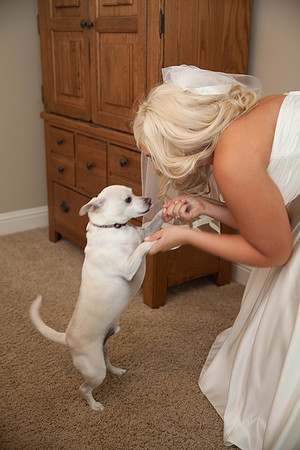 Sacramento Wedding Photography