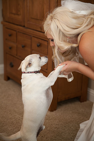 Sacramento Wedding Photography