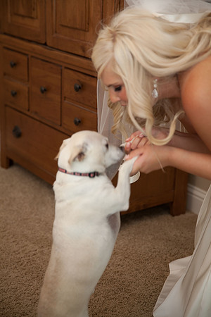Sacramento Wedding Photography