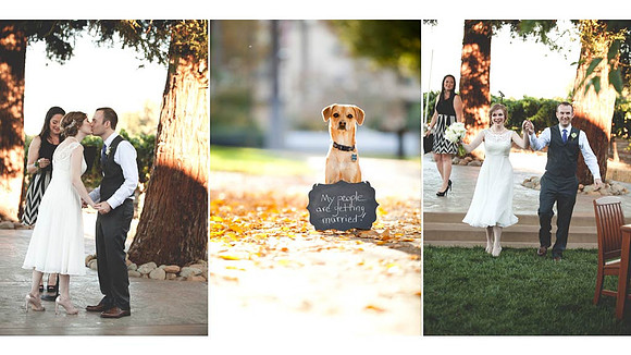 Portfolio | West Coast Pictures