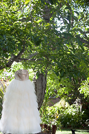 Amy & Vladislav | West Coast Pictures