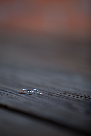 Sacramento Wedding Photography