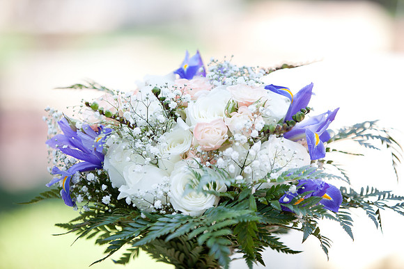 Brittany & Filip | West Coast Pictures