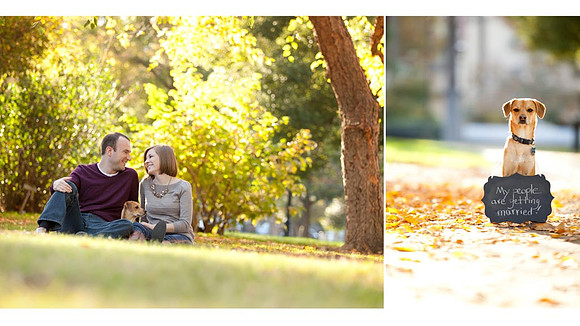 Portfolio | West Coast Pictures
