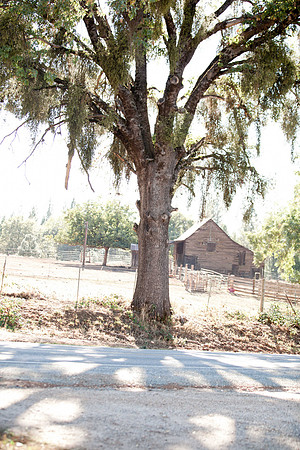 Chelsea & Jared | West Coast Pictures
