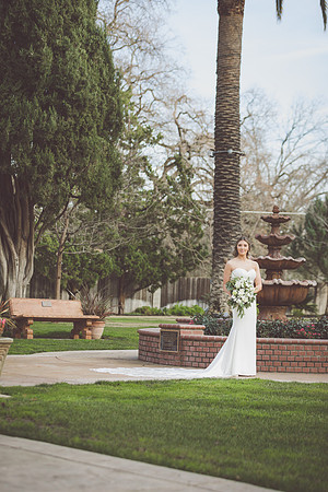 Andreea & Nick | West Coast Pictures