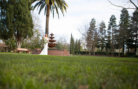 Andreea & Nick | West Coast Pictures