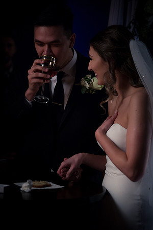 Andreea & Nick | West Coast Pictures