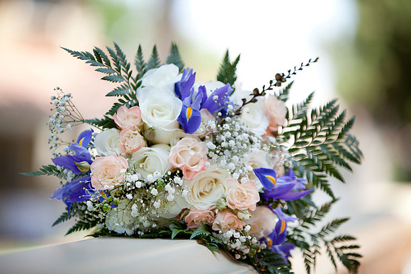 Brittany & Filip | West Coast Pictures