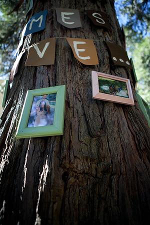 Chelsea & Jared | West Coast Pictures